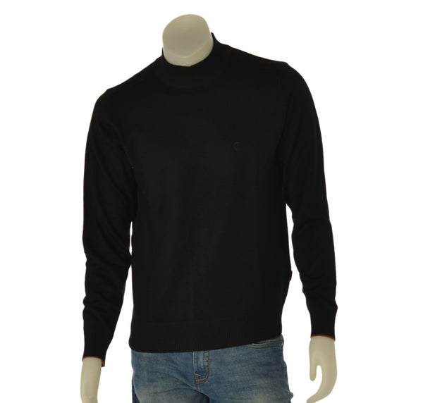 MAGLIONE UOMO RAGAZZO LUPETTO BASICO MARCA COVERI ART. TR2162